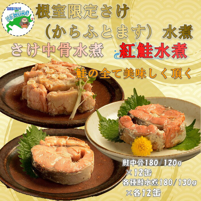 【ふるさと納税】 水煮缶詰セット36缶 E-78008