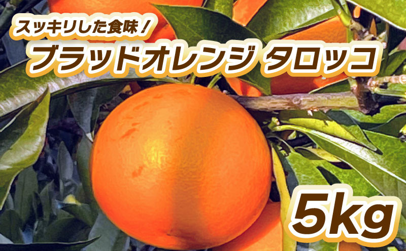 
            【先行予約】ブラッドオレンジ　タロッコ 5kg 【2月中旬～3月中旬発送】 柑橘 果物 フルーツ オレンジ みかん 松山市 愛媛県
          