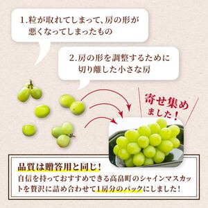 【期間限定発送】 シャインマスカット 訳あり 粒 詰め合わせ 400g 2p 800g [安達長作 山形県 高畠町 tk06ays990007] 小分け フルーツ 果物 くだもの ぶどう ブドウ 葡萄