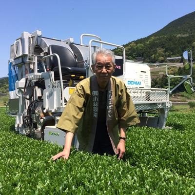 ふるさと納税 佐世保市 世知原茶「炭火庵」・「国見山」詰合せ |  | 02