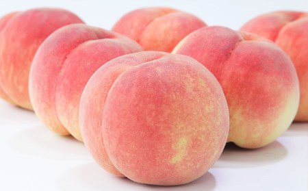 ☆フルーツ王国山形☆白桃 秀品 2kg(かたいままの桃) FS24-684