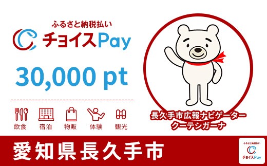 
                  長久手市チョイスPay 30,000pt【会員限定のお礼の品】
                
