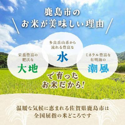 ふるさと納税 鹿島市 【精米したて!】令和7年産 さがびより 10kg(5kg×2袋) |  | 01