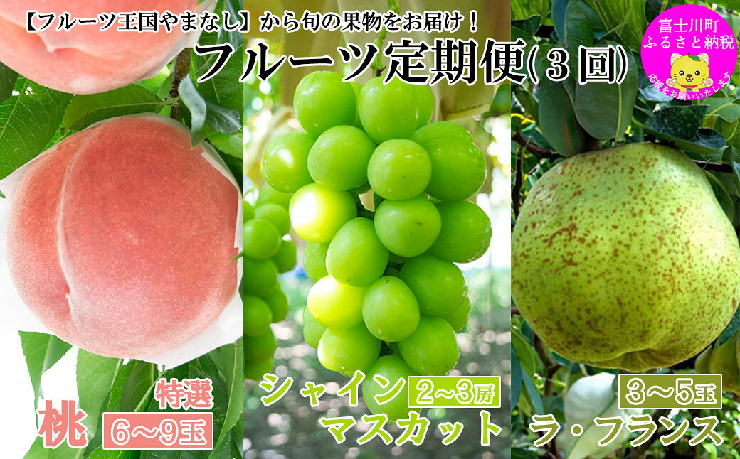 【ふるさと納税】【2027年発送分】【やまなしフルーツ定期便（3回）】 桃【特選】（3kg・6-9玉）＆シャインマスカット（2kg前後・3-4房）＆ラ・フランス（1.5kg以上・3-5玉）　定期便　果物 フルーツ くだもの もも シャイン 洋梨 洋なし 山梨 やまなし 富士川町