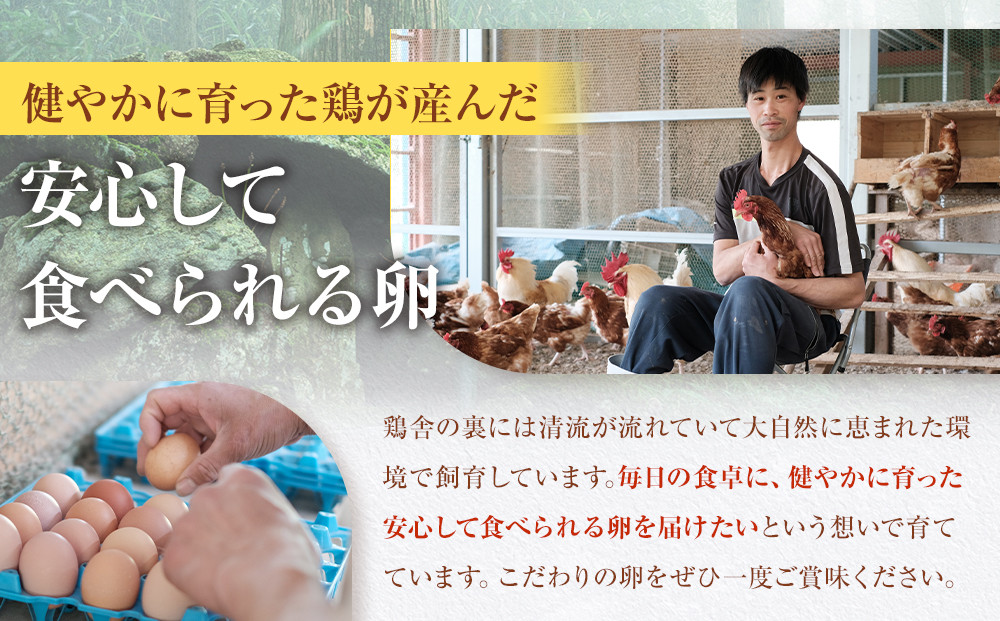【定期便3か月】国産飼料にこだわった鶏が産む安全安心の 『レモン色たまご』30玉（25玉＋割れ保証5玉） ［Hn7］
