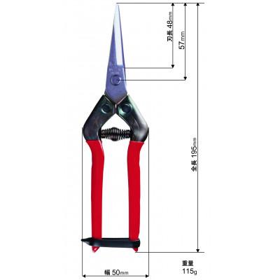 ふるさと納税 和泉市 【ステンレス芽切・摘果鋏】◇近正のハサミ T-55SH |  | 03