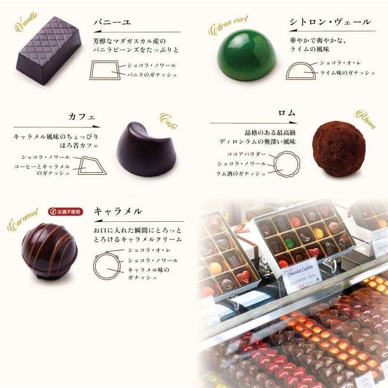 【 チョコ 】 ボンボン ショコラ 10個入り ( ポムホッペ ) バレンタイン ホワイトデー デザート スイーツ ギフト 贈り物 贈答 お祝い 記念日