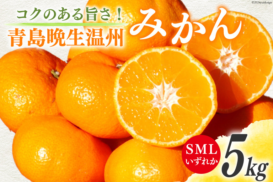 
みかん 5kg【期間限定発送】コクのある甘さ うまぁ〜い！！青島晩生温州みかん S・M・L いずれか [黒田農園 宮崎県 日向市 452060137] 果物 フルーツ ミカン 蜜柑 柑橘
