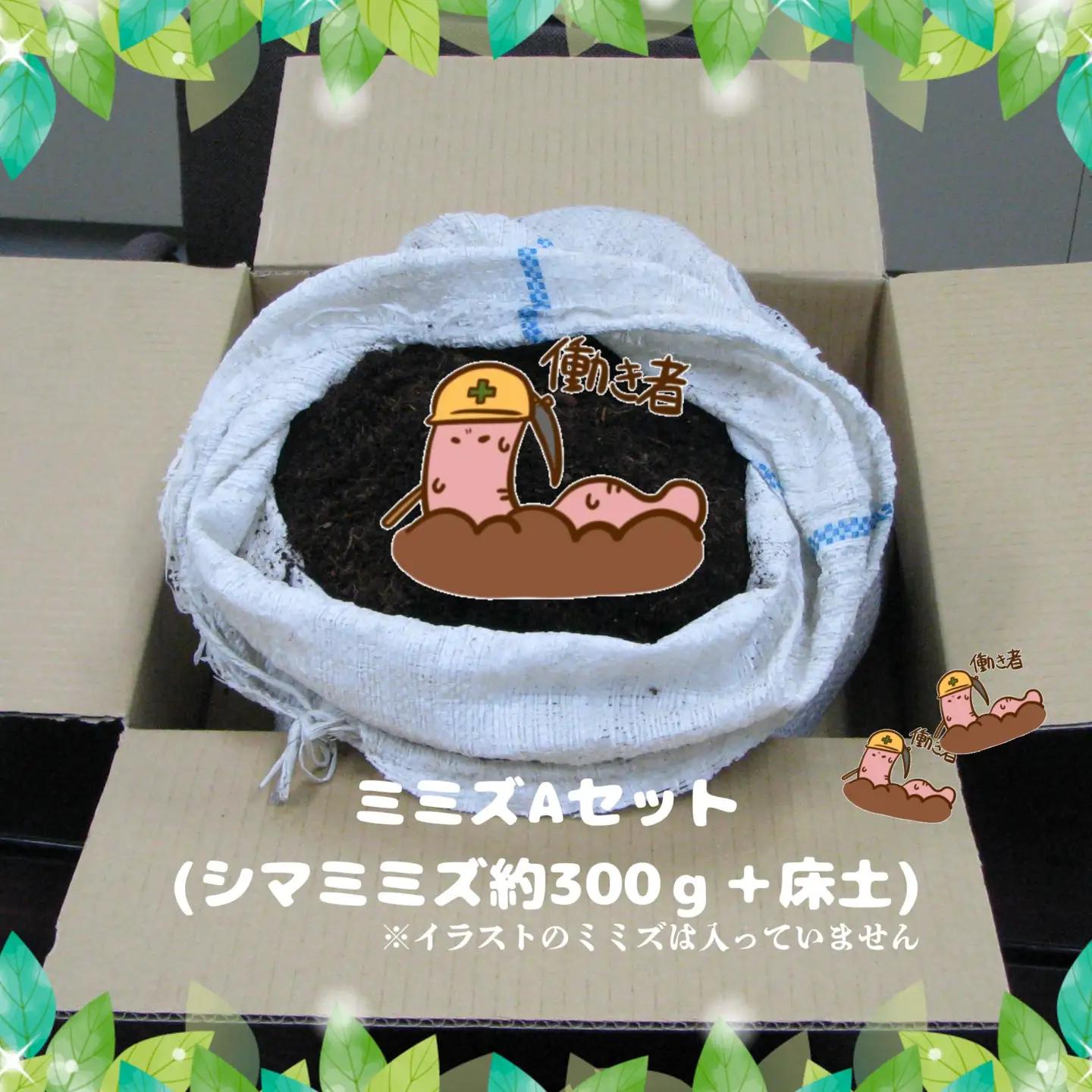 ミミズAセット【配達不可：離島】