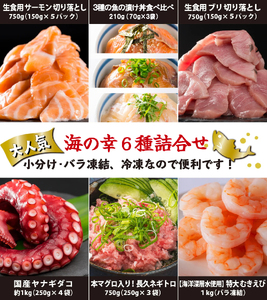 漁師町 尾鷲 からお届け！ 海の幸 大容量便 人気 6種 詰合せ ＜限定500セット＞ 大容量 小分け 冷凍 バラ凍結 たっぷり ストック 便利 新鮮 鮮魚 さけ しゃけ 鮭 サーモン アトランティッ