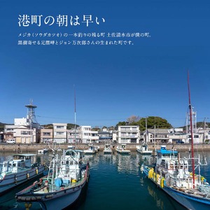 姫かつお おつまみ 6点セット 【R01323】
