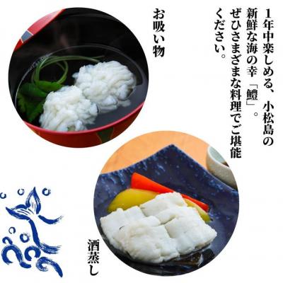 ふるさと納税 小松島市 定期便 偶数月 3回 鱧 ハモ 切り身 計 3kg 1kg × 3ヵ月 冷凍 国産 魚介 天ぷら |  | 01