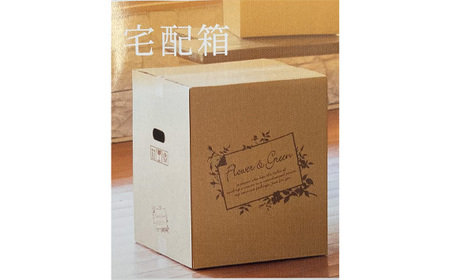 No.487 （パープル系）Mサイズ 癒し生活！季節のおまかせフラワーアレンジメント