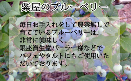 農薬不使用の自然農園 紫屋の 【ブルーベリージュース＆ジャム】 詰合せ