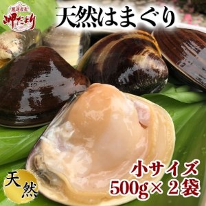 【先行予約】 希少 天然 はまぐり 小サイズ 500g×2袋 岬だより 冷凍 天然はまぐり 蛤 ハマグリ 人気 おすすめ 愛知県 南知多町 [配送不可地域：離島]