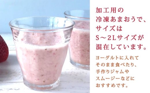 やまや 【濃厚な味わい！】 冷凍いちご 博多あまおう 約1kg