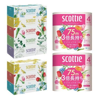 ふるさと納税 八代市 【毎月定期便】スコッティ　ティシュー5箱P×1+3箱P×1+トイレット4ロール(ダブル)P×2全3回 |  | 01