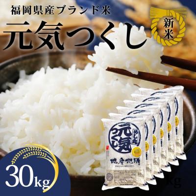 ふるさと納税 田川市 令和7年産 福岡県産米 元気つくし 合計30kg(5kg×6袋)(田川市)