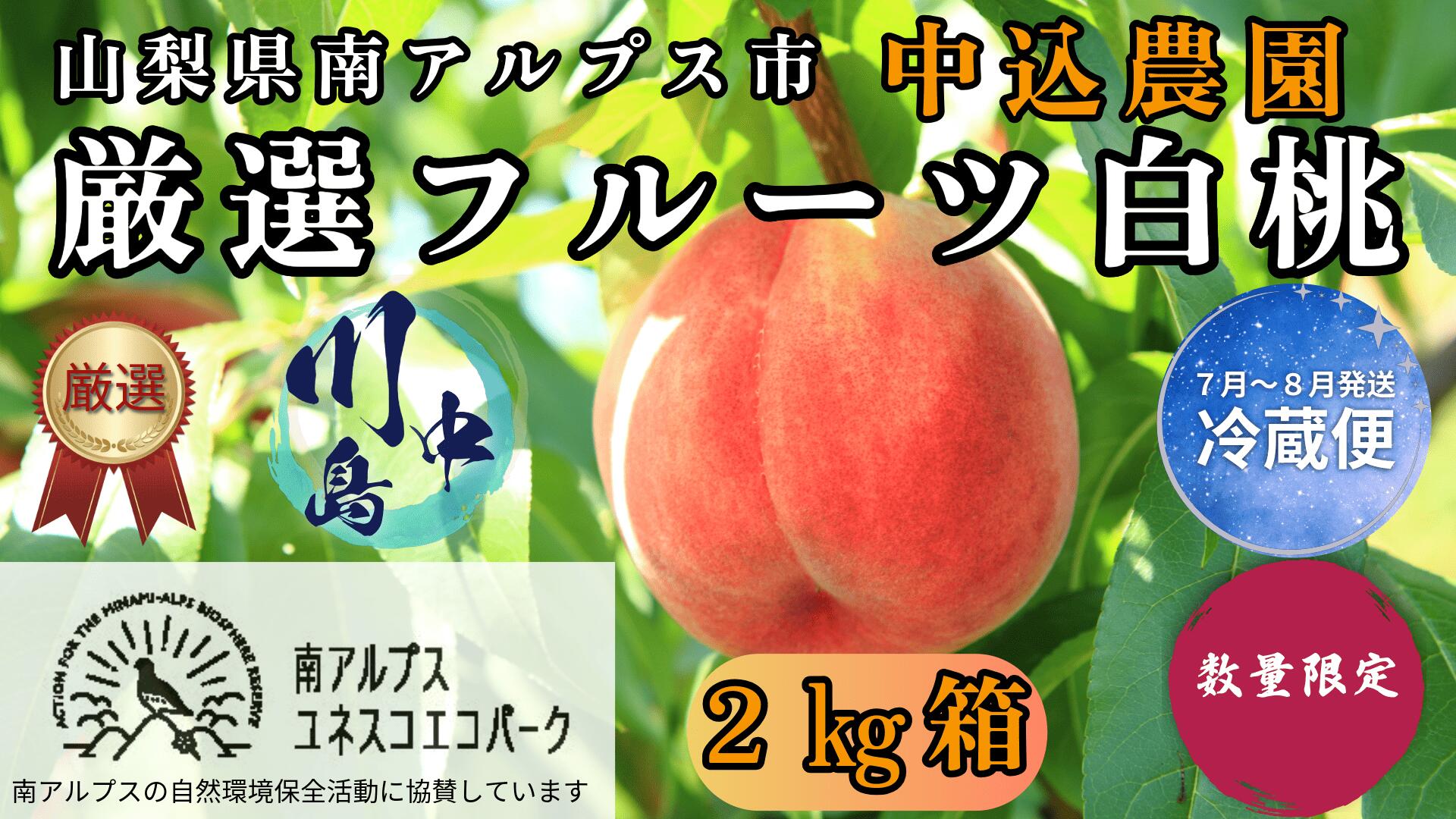 【ふるさと納税】＜2026年発送先行予約＞ 山梨県南アルプス市産 厳選桃 (川中島) 2kg 山梨県南アルプス市産 ふるさと納税 桃 もも 果物 フルーツ おすすめ 山梨県 南アルプス市 送料無料 ALPEM002