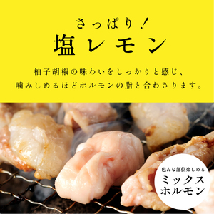 国産黒毛和牛 タレ漬けホルモンミックス塩レモン 250g x 2袋 おいしいホルモン グルメホルモン やっぱりホルモン ホルモン 焼肉用 肉 小分け 冷凍 ギフト 大容量 MSK021