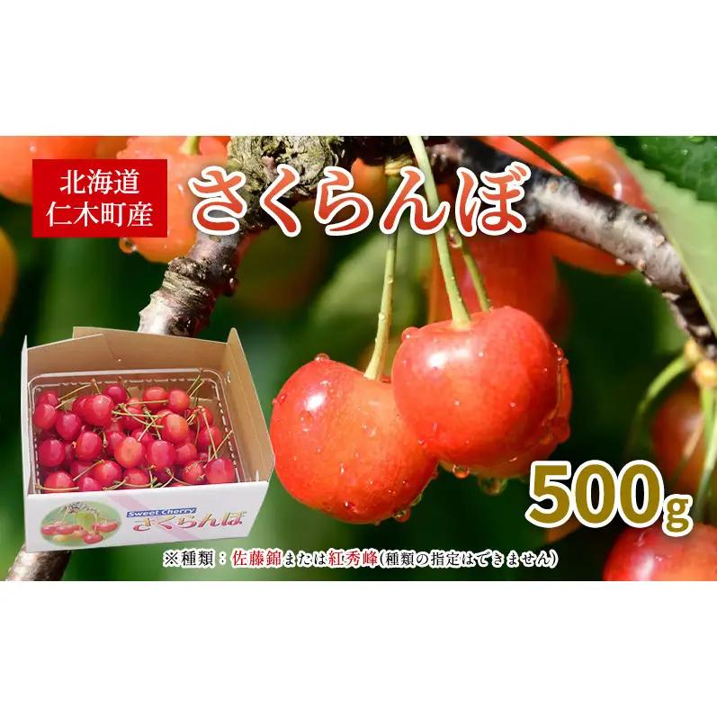 先行受付 北海道 仁木町産 さくらんぼ 500g 佐藤錦または紅秀峰 果樹 サクランボ チェリー フルーツ 果物 果物類 ギフト 仁木町 仁木 [くくり農園]