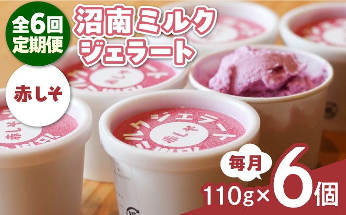 
            【全6回定期便】沼南ミルクジェラート 赤しそ ６個　アイス  赤しそ  アイス アイスクリーム デザート スイーツ ご当地 広島県福山市/甚ごろう [BAEC040]
          