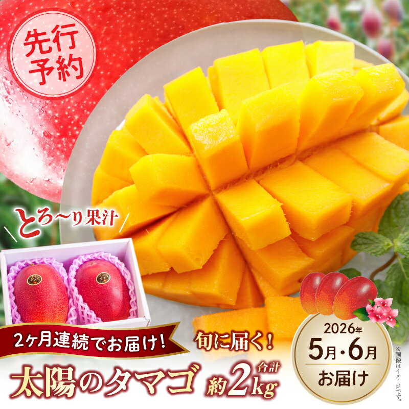 【ふるさと納税】【先行予約！マンゴー定期便・全2回】小林市産 完熟マンゴー 「太陽のタマゴ」コース（定期便 フルーツ フルーツ定期便 2026 マンゴー 先行予約 太陽のタマゴ 宮崎 小林市 果物 人気）