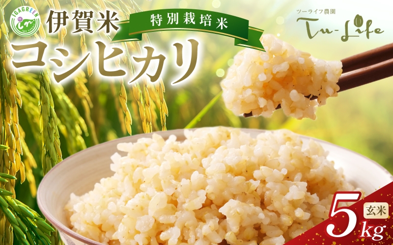 
                  特別栽培米・伊賀米コシヒカリ 5kg〈玄米〉【tuli0005A】
                