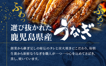 鹿児島県産！老舗うなぎ屋 の 紅白うなぎ！うなぎ の かば焼き 2尾（並・100g以上× 2パック ）・ 白焼き 2尾（並・100g以上）×2パック【 贈答用 】 A040-011-02 うなぎ 鰻 