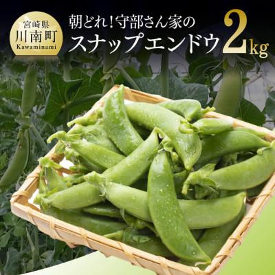 ふるさと納税 川南町 【令和8年発送】朝どれ!守部さん家のスナップエンドウ2.0kg