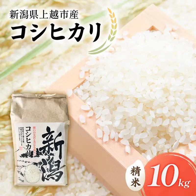 山本農園 コシヒカリ 特別栽培米 10kg 精米 コシヒカリ
