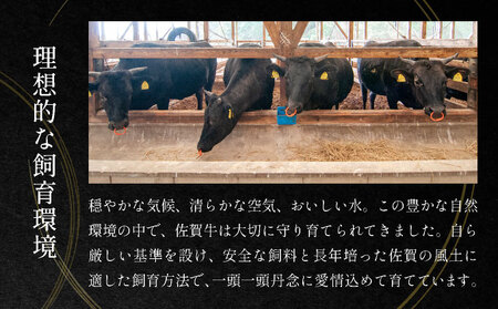 艶さし！【厳選部位】【A4～A5】佐賀牛サーロインしゃぶしゃぶすき焼き用　500ｇ