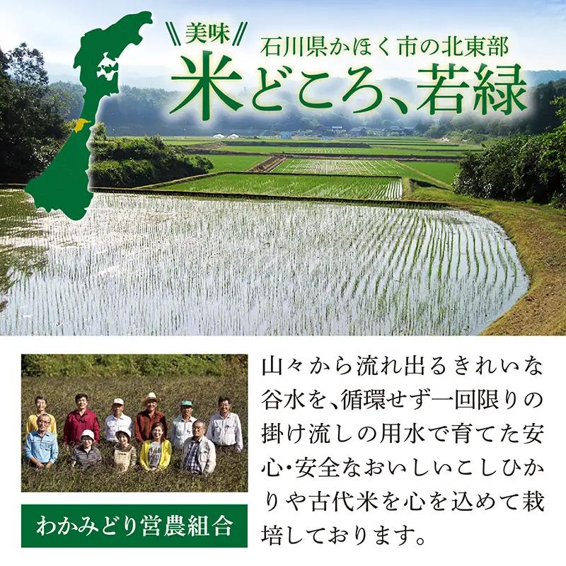 【令和7年産】 にこまる 5kg 【6月配送】 |   にこまる 白米