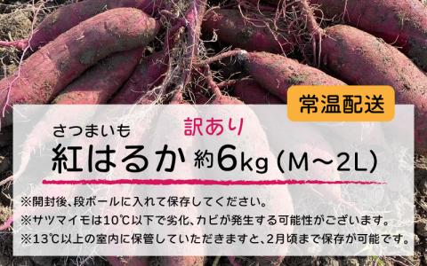 サツマイモ（紅はるか）サイズ不揃いの訳あり（M～2L）約6kg