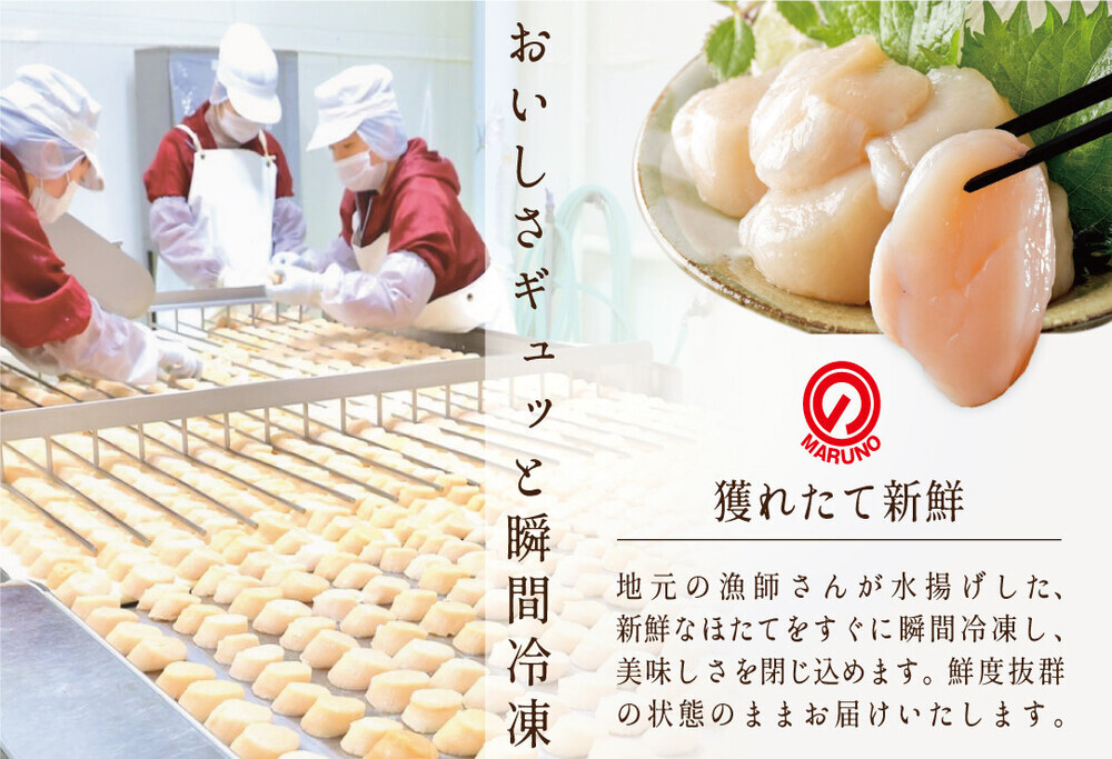 【隔月4回定期便】北海道 野付産  冷凍ホタテ 貝柱 届いて嬉しい 大玉 ホタテ 500g 4回 配送 水産事業者支援