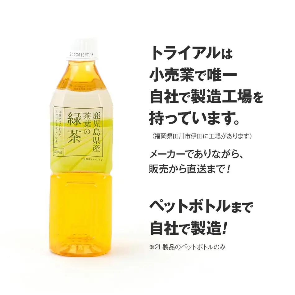 お茶 ペットボトル おいし～い緑茶 500ml×48本 お茶