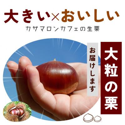 ふるさと納税 笠間市 【2026年 秋 出荷】カサマロンの生栗 1kg×2袋　笠間市 |  | 01