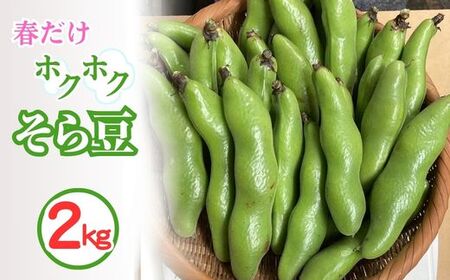 そら豆 2kg 京都 亀岡産 野菜 豆類 旬 春