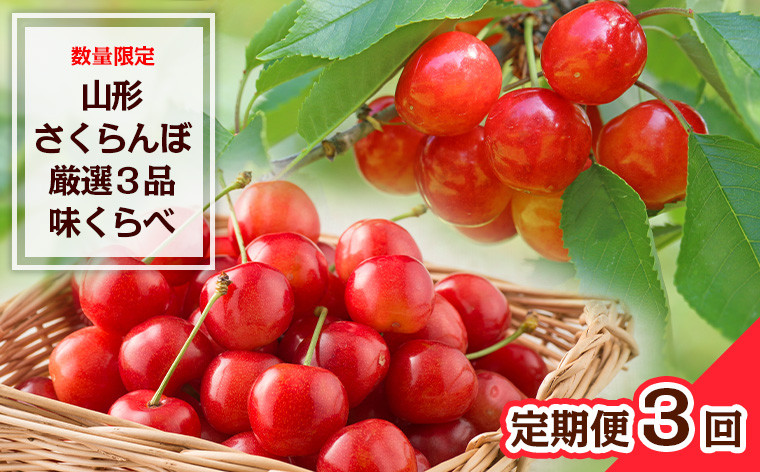 
【定期便3回】数量限定 山形さくらんぼ 厳選3品味くらべ 【令和6年産先行予約】FS23-865
