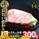 【ふるさと納税】百年の恵み おおいた和牛 A5 ステーキ用 厚切り 厳選部位 (300g) 国産 牛肉 肉 霜降り ロース 肩ロース サーロイン 和牛 ブランド牛 ステーキ 冷凍 大分県 佐伯市 【FS09】【 (株)トキハインダストリー】