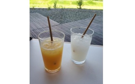 大麦ストロー「すとろーている」、ケース入り空色 天然素材 エコ ストロー 大麦 すとろーている 20本 ケース入り 選べる 栽培期間中農薬不使用 SDGs 土に還る 脱プラ 脱プラスチック インテリア