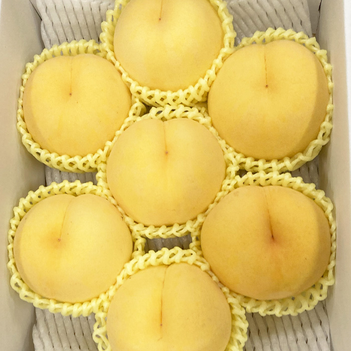 【定期便3回】3種の桃　食べきり定期便～各2kg～ 【令和8年産先行予約】FS23-706