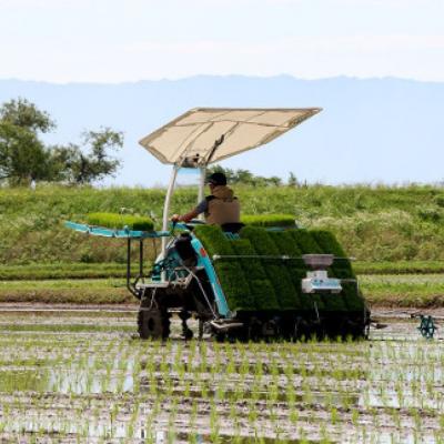 ふるさと納税 小郡市 米 たごもり農園 特別栽培米夢つくし 3kg 小郡産 栽培期間中農薬不使用[No5354-0842] |  | 02