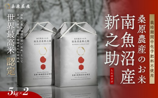 
                  【令和8年産 新米】ギネス世界記録「世界最高米」認定 最高級南魚沼産新之助10kg(5kg×2) 桑原農産のお米【銘柄米 ブランド米 精米 新之助 魚沼産 新潟米 産地直送 お米 米 こめ コメ ご飯 御飯 ごはん】【2026年10月中旬より順次発送予定】
                