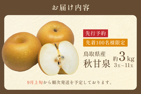 先行予約 プレミアム秋甘泉（あきかんせん）3kg｜鳥取 果物 フルーツ なし 梨【41033】