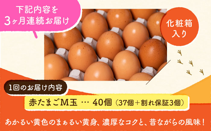 【全3回定期便】 【化粧箱入り】赤たまご M玉 40個 (37個＋割れ保証3個)【株式会社 かもと養鶏】 [ZCA003]