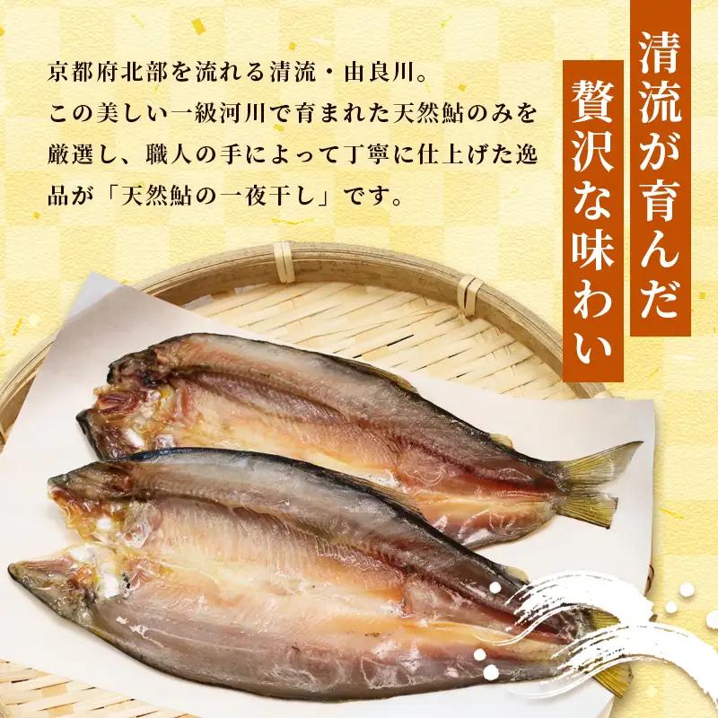天然鮎 一夜干し 1パック（3匹） あゆ 鮎 一夜干し