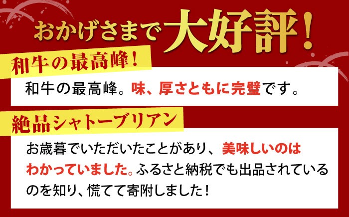 佐賀牛 A5 シャトーブリアンとサーロインの極上セット 計500g【山下牛舎】[HAD145]ヒレ シャトーブリアン 赤身 牛肉