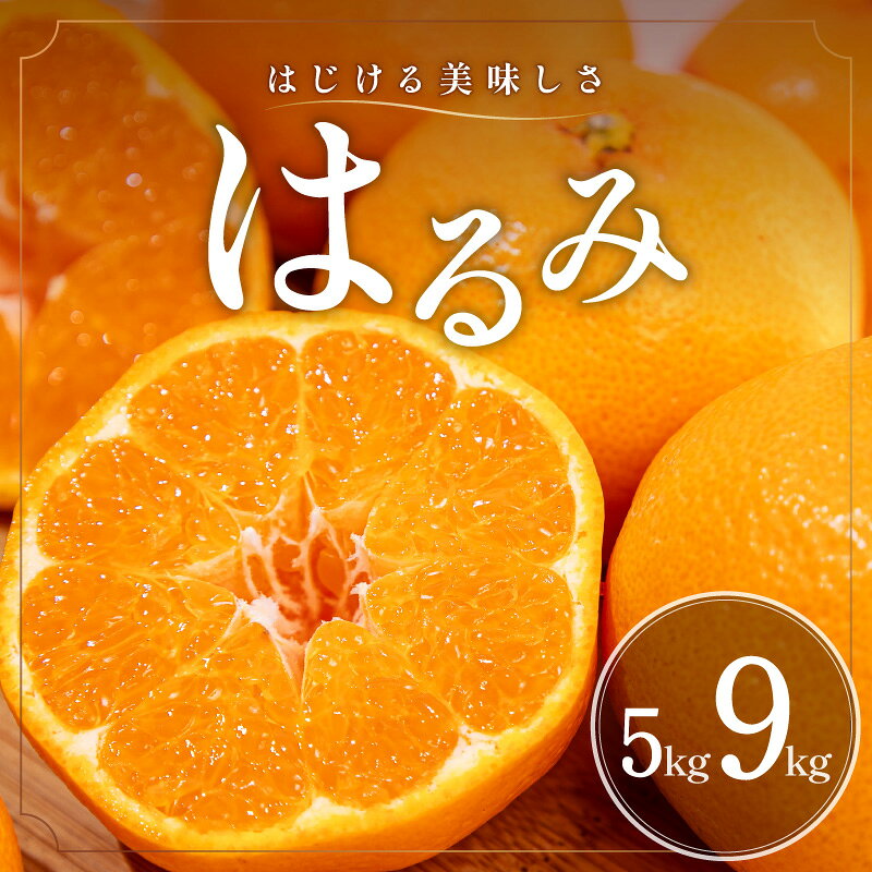 【ふるさと納税】【2027年発送先行予約品】弾ける旨さ！ ミカファーム みかん はるみ 5kg 9kg 選べる 容量 三重県御浜町産【ジューシーで濃厚な味わい、プチプチと弾ける食感】