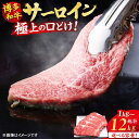 【ふるさと納税】【選べる定期便】博多和牛 サーロイン ステーキ 200g×5枚 肉 定期便 広川町 / 久田精肉店株式会社[AFBV017]